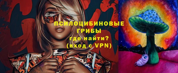 прущая мука Арсеньев